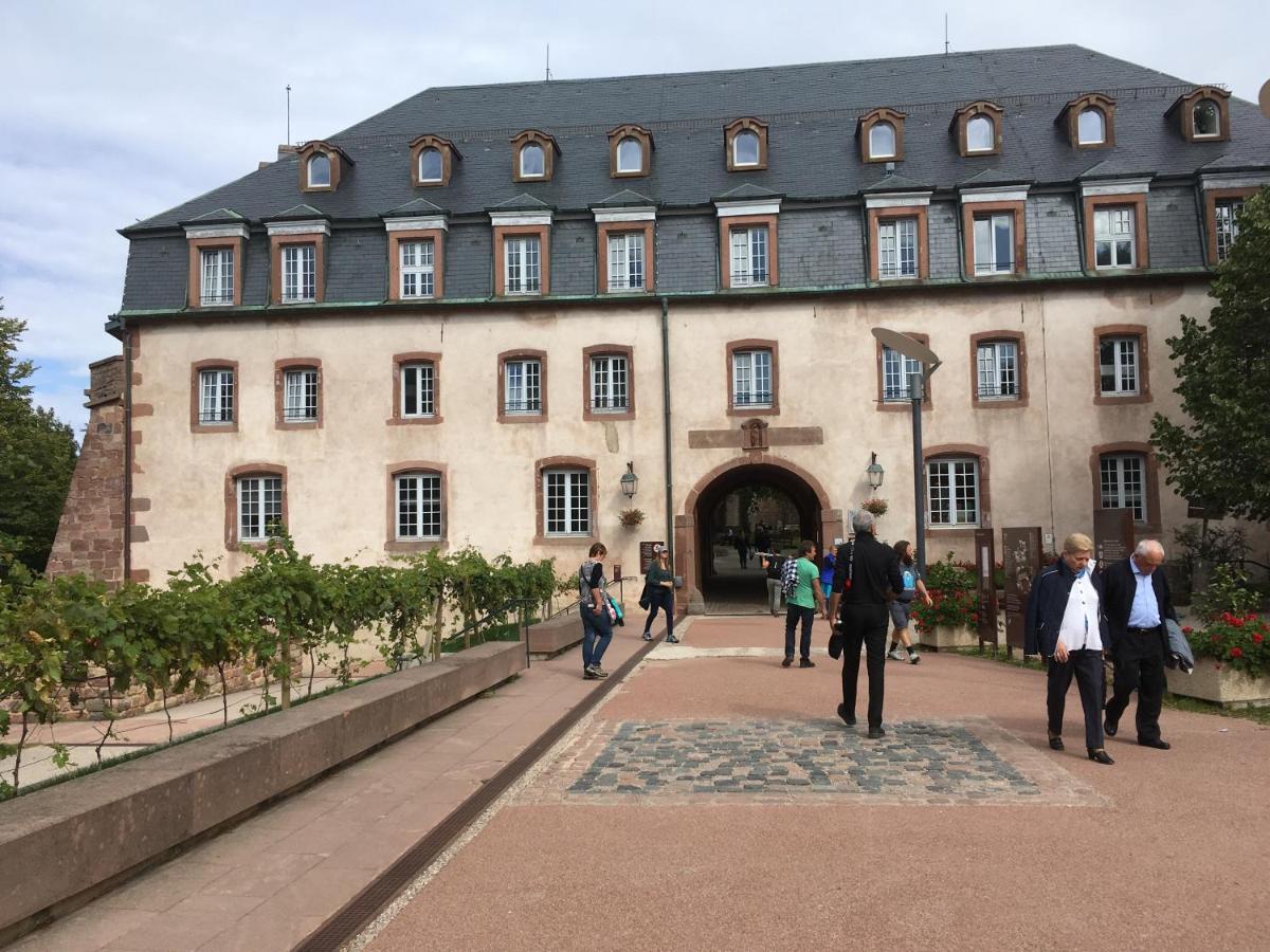 Maison Independante De Montagne En Alsace Bellefosse Eksteriør bilde