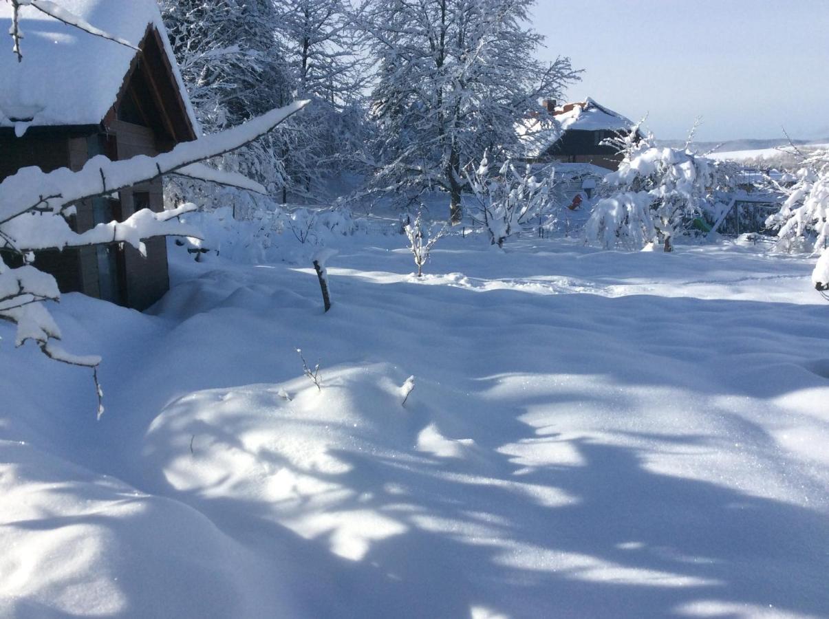 Maison Independante De Montagne En Alsace Bellefosse Eksteriør bilde