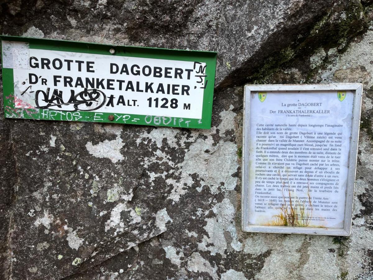 Maison Independante De Montagne En Alsace Bellefosse Eksteriør bilde