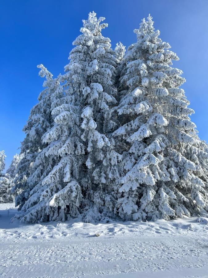 Maison Independante De Montagne En Alsace Bellefosse Eksteriør bilde