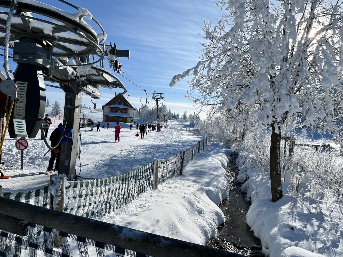 Maison Independante De Montagne En Alsace Bellefosse Eksteriør bilde