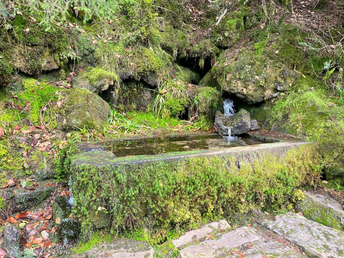 Maison Independante De Montagne En Alsace Bellefosse Eksteriør bilde