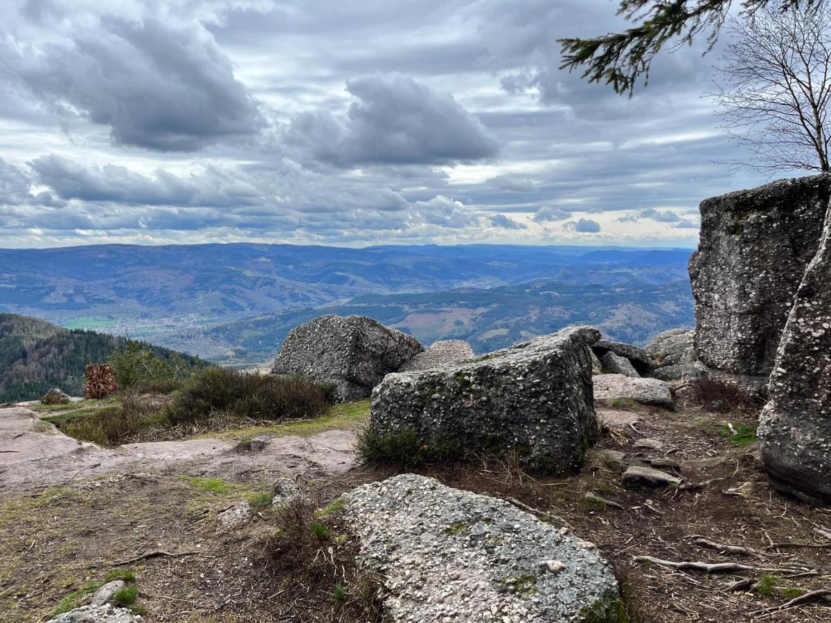 Maison Independante De Montagne En Alsace Bellefosse Eksteriør bilde