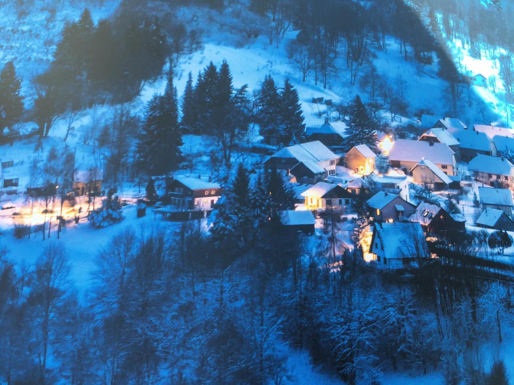 Maison Independante De Montagne En Alsace Bellefosse Eksteriør bilde