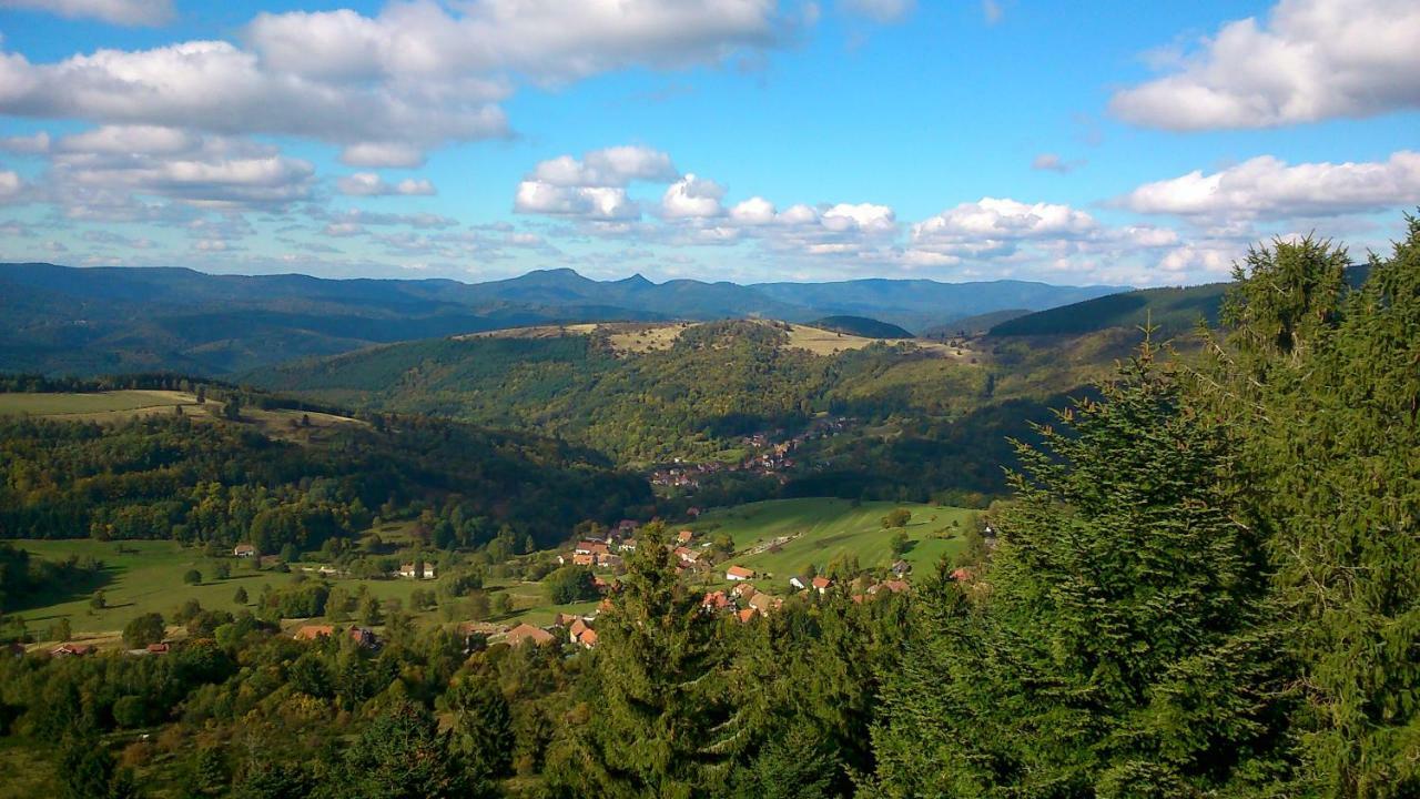 Maison Independante De Montagne En Alsace Bellefosse Eksteriør bilde