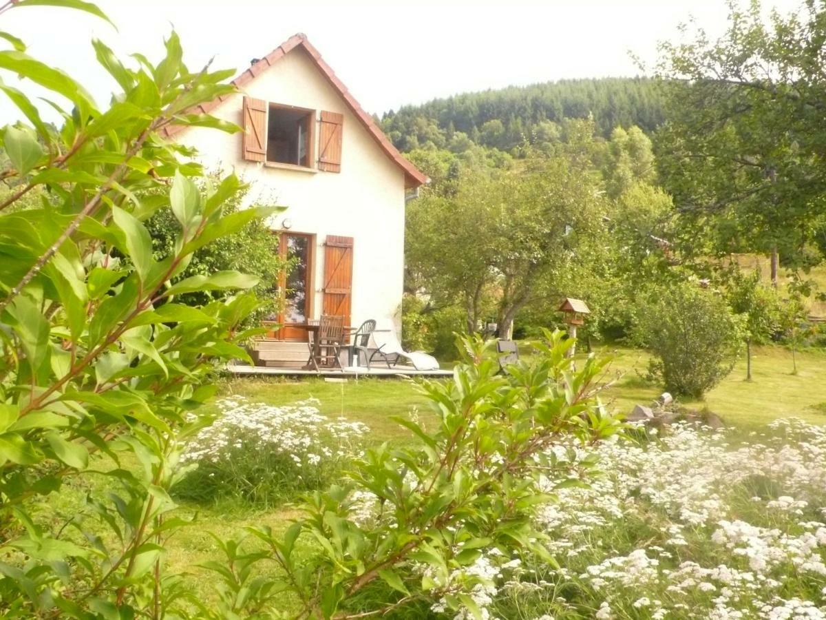 Maison Independante De Montagne En Alsace Bellefosse Eksteriør bilde
