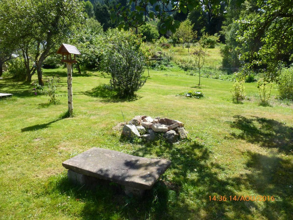 Maison Independante De Montagne En Alsace Bellefosse Eksteriør bilde