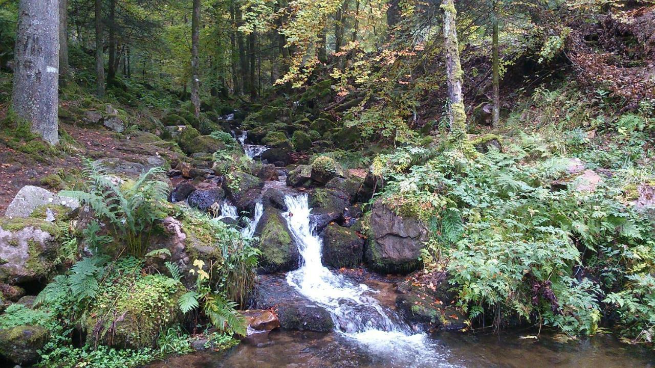 Maison Independante De Montagne En Alsace Bellefosse Eksteriør bilde