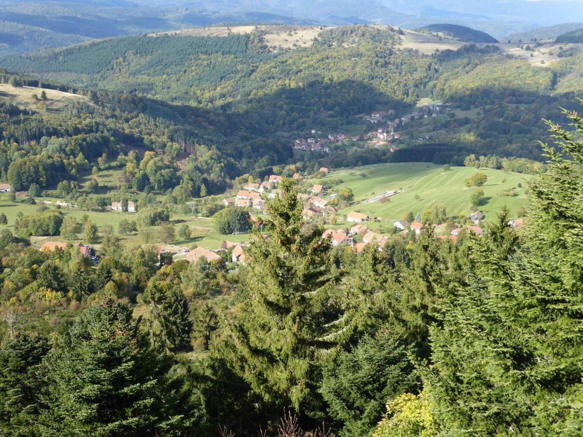 Maison Independante De Montagne En Alsace Bellefosse Eksteriør bilde