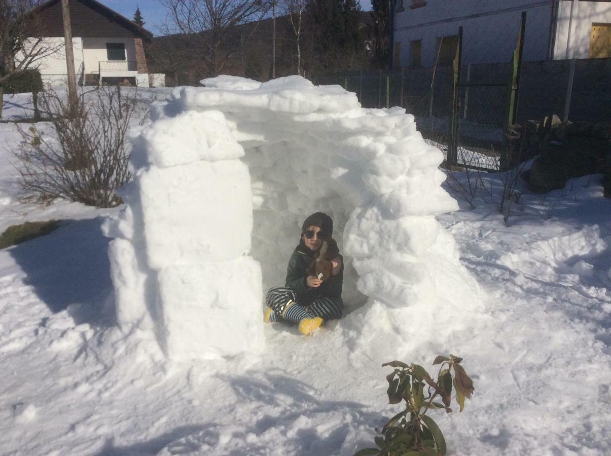 Maison Independante De Montagne En Alsace Bellefosse Eksteriør bilde